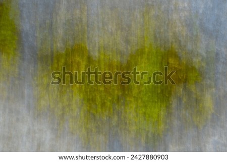 abstract design background in nature green moss on grey rock movement or intentional blur caused by long shutter speed and intentional camera movement horizontal backdrop natural wallpaper mossy green