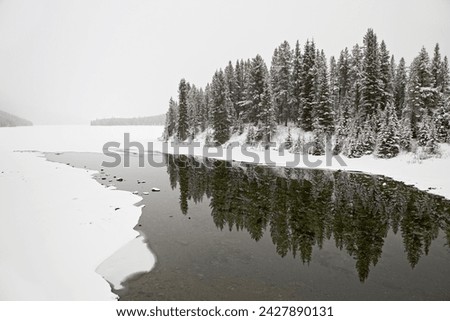 Malign river and malign lake in winter, jasper national park, unesco world heritage site, alberta, canada, north america Royalty-Free Stock Photo #2427890131