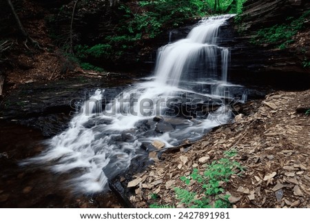 Waterfall, ricketts glen state park, pennsylvania, united states of america, north america