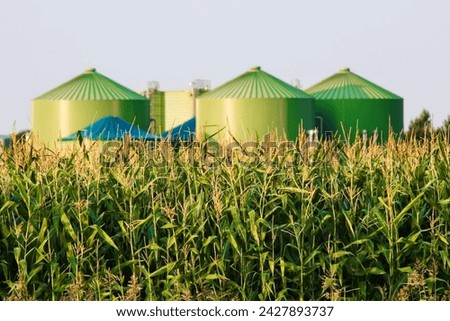 Vertical view of the process components, fermenters and biogas storage tanks of the agricultural biogas plant . Use of biogas in cogeneration units for electricity and heat production.  Royalty-Free Stock Photo #2427893737