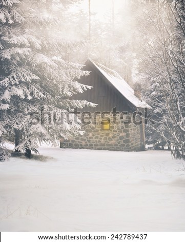 Idyllic winter house covered with snow