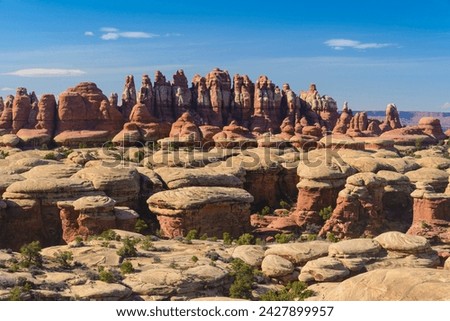 Rock formations, the needles section of canyonlands national park, utah, usa Royalty-Free Stock Photo #2427899957