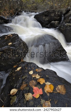Waterfall, louse river, boundary waters canoe area wilderness, superior national forest, minnesota, united states of america, north america