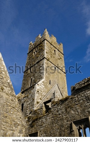 Ross errilly franciscan friary, near headford, county galway, connacht, republic of ireland, europe Royalty-Free Stock Photo #2427903117