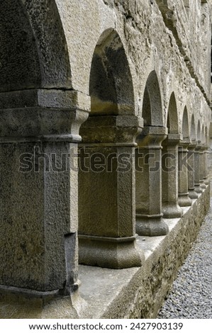 Cloister, ross errilly franciscan friary, near headford, county galway, connacht, republic of ireland, europe Royalty-Free Stock Photo #2427903139
