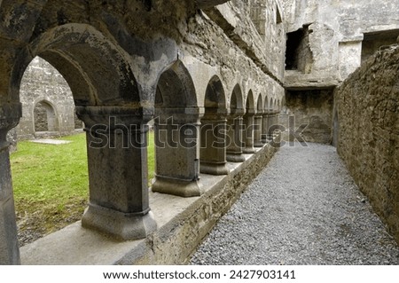 Cloister, ross errilly franciscan friary, near headford, county galway, connacht, republic of ireland, europe Royalty-Free Stock Photo #2427903141
