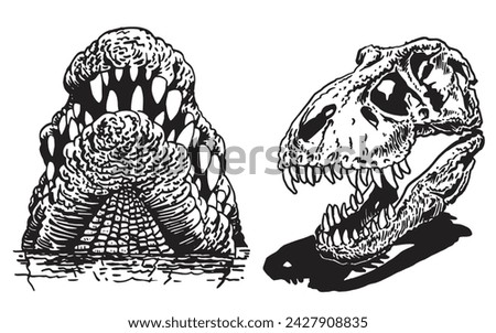 Graphical set of dinosaur skull and crocodile jaw on white ,vector illustration 