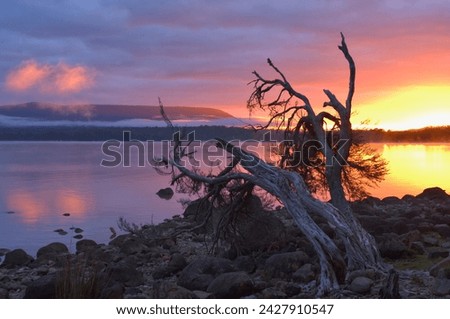 Sunrise, lake st. clair, cradle mountain lake st. clair national park, unesco world heritage site, tasmania, australia, pacific Royalty-Free Stock Photo #2427910547