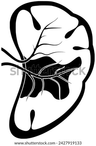 kidney illustration medical icon of awareness logo disease vector treatment organ or stone anatomy transplant health medicine human care urology healthy renal internal cancer urinary health care