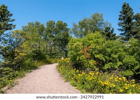A foot path curves up hill, bordered by yellow flowers, green bushes and trees, on a sunny day under a clear blue sky. Royalty-Free Stock Photo #2427922991