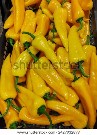 Yellow oblong sweet pepper in a plastic box. Yellow bell peppers in a row at the market stall, vertical view. 