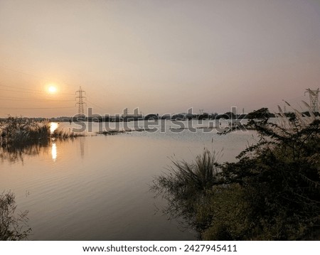 beautiful photograph of bird sanctuary sunset dawn golden coloured water lake pond sunrays reflection twilight forest island trees perch bushes grass india backwaters kerala empty negative space 
