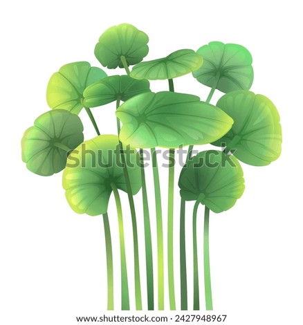 Water Lilly or lotus leaves vertical composition for wallpaper or card. Greean water plant leaves on white background, isolated botanical elements. Vector clip art illustration in watercolor style.