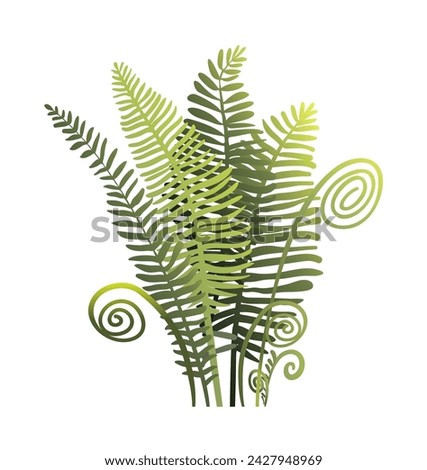 Wild bracken fern composition for natural botanical design. Green fern leaves, plant from woods on white background isolated nature elements. Vector clip art illustration in watercolor style.