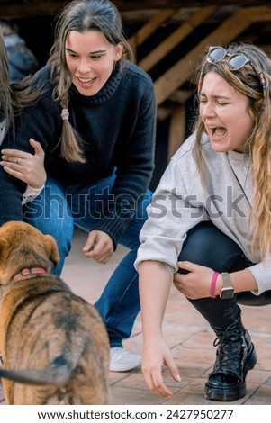 Young women scream with love at the sight of a sheepdog puppy approaching them. Vertical