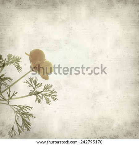 textured old paper background with Californian poppy