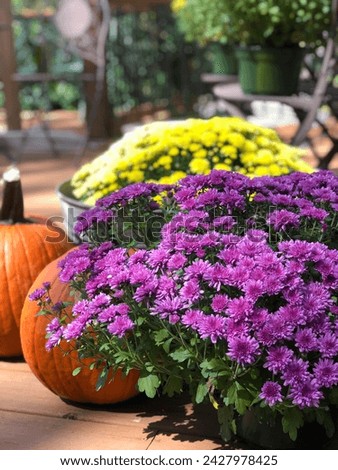 Fall Flower Decor with a pumpkin 