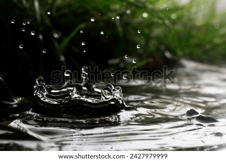 Macro of a falling rain drop in a natural environment Royalty-Free Stock Photo #2427979999