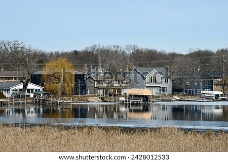 a lakeshore landscape with a golden weeping willow tree, lake houses and reflections in the water on a bright sunny winter day Royalty-Free Stock Photo #2428012533