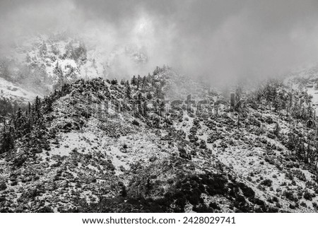 Mt Baldy after the rain. Feb 2024 Royalty-Free Stock Photo #2428029741
