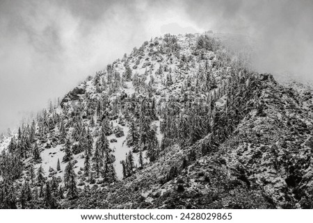 Mt Baldy after the rain. Feb 2024 Royalty-Free Stock Photo #2428029865