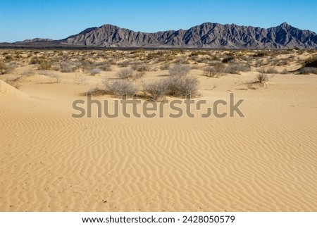 Landscape of the Pinacate volcano and the Altar desert. Sonora, México. Royalty-Free Stock Photo #2428050579