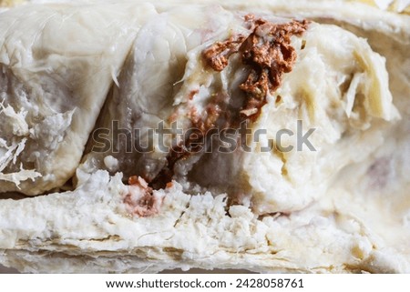Mold on stale rice is a thermophilic flora that can appear within 5 to 10 days. Acts as a decomposer of organic material into colloidal liquid containing iron, calcium and nitrogen. Royalty-Free Stock Photo #2428058761
