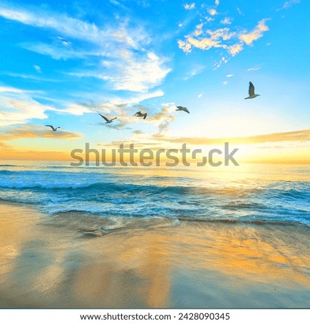 Beaches birds fly blue sky amazing look picture this is four birds picture 