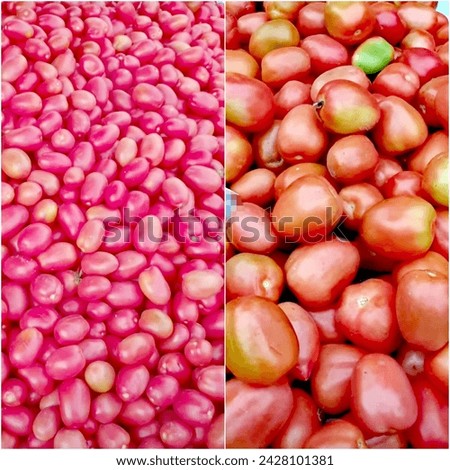 Organic Fresh Tomato Group Stock Photo 