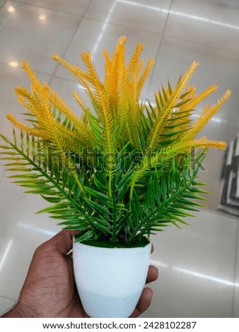  A hand holding future miniature indoor decorative plastic plant model with green pointed leaves finger shaped bloom hd hi-res stock image photo picture on white background selective focus side view
