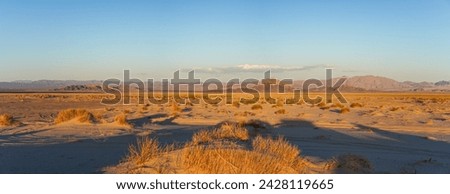 Sunset in the Mojave Desert. Royalty-Free Stock Photo #2428119665