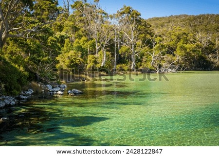 Shallow turquoise waters at Cockle Creek, South West National Park, Tasmania, Australia.  Royalty-Free Stock Photo #2428122847