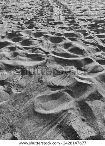 The wavy beach sand after the turtle release event from captivity is shown in a black and white photo.