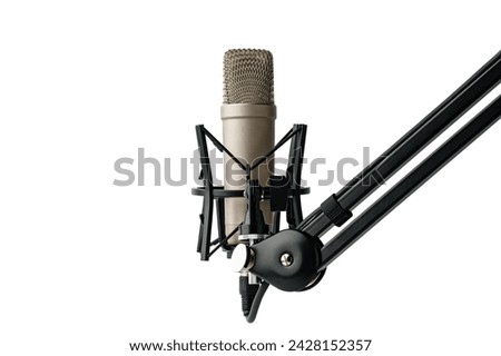 Professional studio microphone on the white background