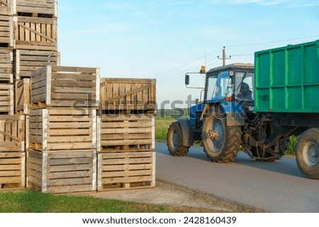 rows of wooden crates, crates and pallets for storing and transporting fruits and vegetables in the warehouse. production warehouse on the territory of the agro-industrial complex. Royalty-Free Stock Photo #2428160439