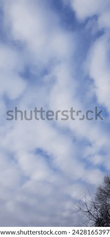 Blue sky in diagonal white clouds over dark bare treetops, in a winter park (winter landscape, vertical photo, sky background).