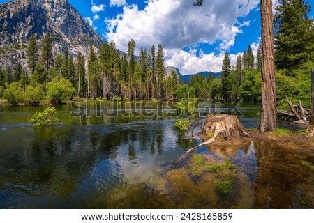Merced River flowing through Yosemite National Park with lush trees and Sierra Nevada Mountains in California, USA Royalty-Free Stock Photo #2428165859
