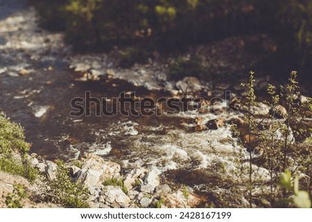 A scenic river winds through a rocky landscape with trees in the background, creating a natural and picturesque view of terrestrial plant life