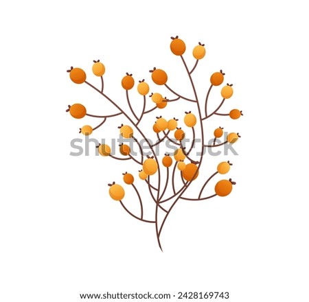 Autumn attribute of colorful set. This artwork showcases a dog-rose in vivid orange hues that evokes the seasonal charm of autumn against a pristine white background. Vector illustration.