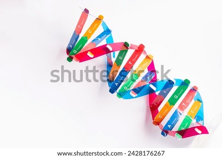 DNA or Deoxyribonucleic acid is a double helix chains structure formed by base pairs attached to a sugar phosphate backbone. Royalty-Free Stock Photo #2428176267