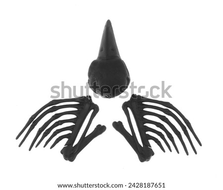 black skeleton of bird wings isolated on white background