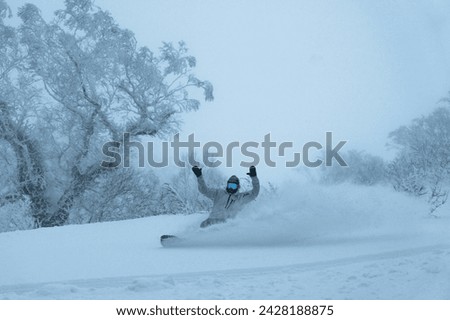 Snow background Image with trees