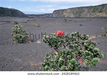 Halemaumau crater, big island, hawaii, hawaiian islands, united states of america (u.s.a.), north america