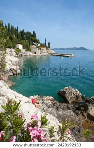 Rocky coast and harbour, trsteno, dubrovnik, croatia, europe