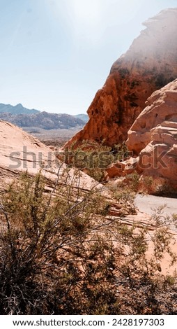Valley of fire is the myriad colors of red rocks.