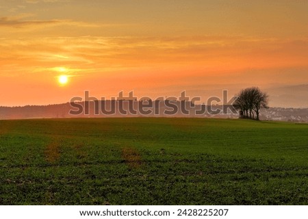 Sunset and field, rhineland-palatinate (rheinland-pfalz), germany, europe Royalty-Free Stock Photo #2428225207
