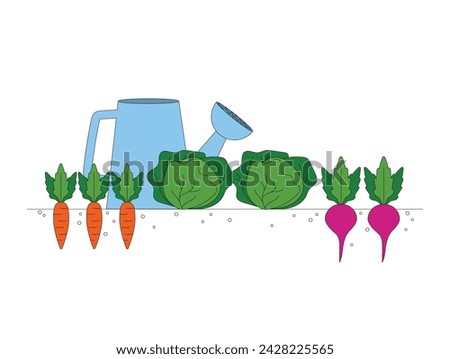 Gardening. Harvesting. Carrots, cabbage, beets. Grown vegetables. Vector graphic. Royalty-Free Stock Photo #2428225565
