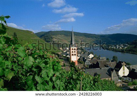 Zell-merl, mosel valley, rheinland-pfalz, germany, europe Royalty-Free Stock Photo #2428226003