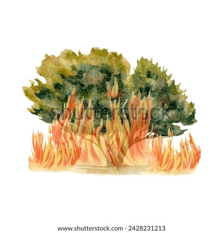 Tree on fire clip art. Green plant canopy burning with flames bushfire composition. Environmental awareness concept. Natural  disaster. Hand drawn watercolor illustration isolated on white background