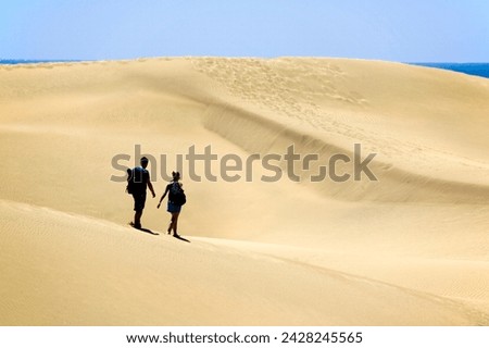 Maspalomas sand dunes, grand canary, canary islands, spain, europe Royalty-Free Stock Photo #2428245565